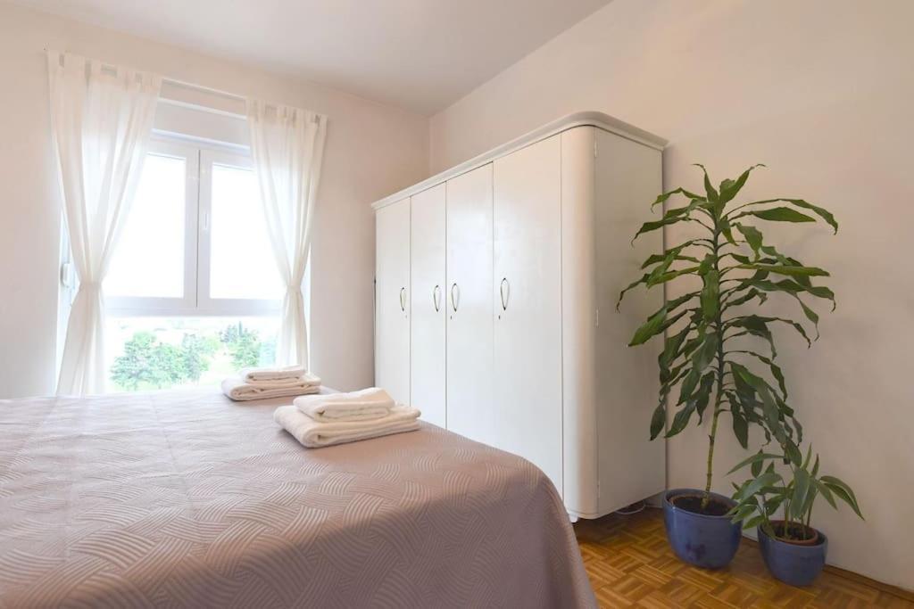 Apartman Ilijana Zadar Exterior photo