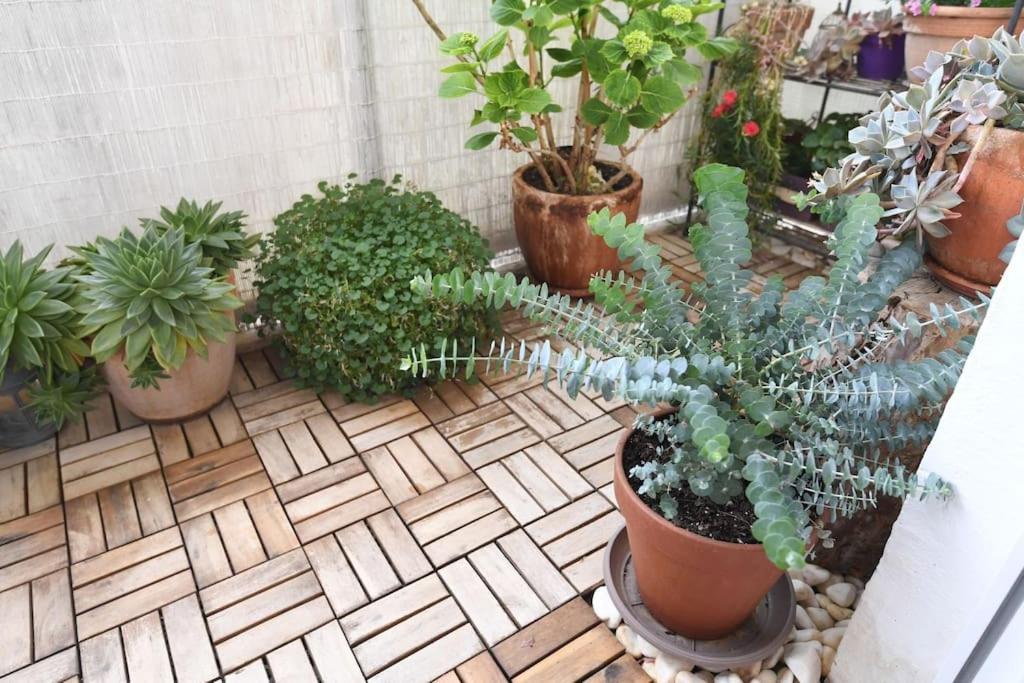 Apartman Ilijana Zadar Exterior photo